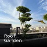 Roofgarden